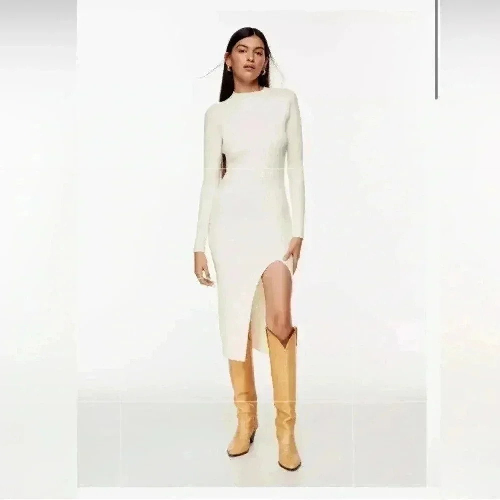 Aritzia Wilfred Alchemy Dress​​​​​​​​​​​​